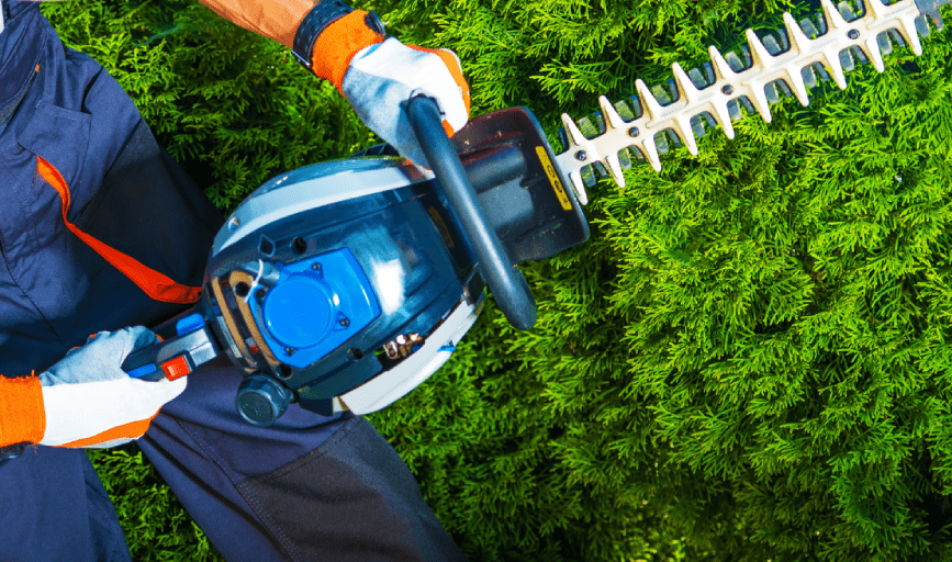 BUSH TRIMMING